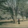 1910 Tashkent Kaufmann Avenue (2)