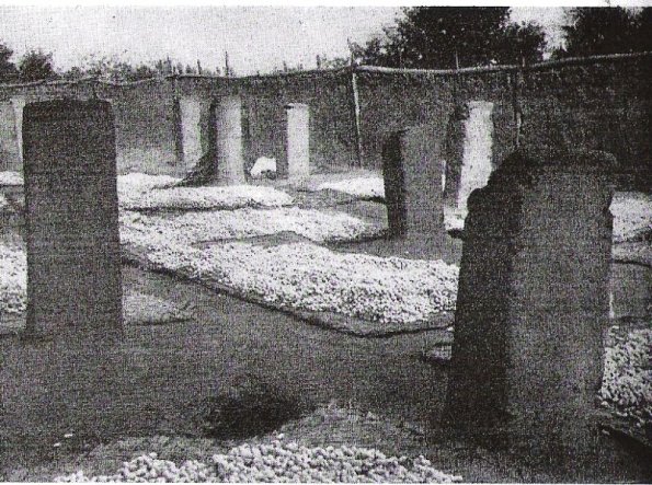 1910 pile ghoziki qurutush
