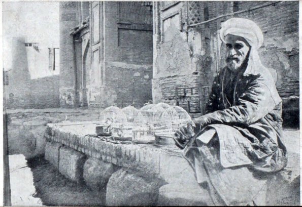 1920 Бухара Медресе Топчибаши Торговец Перепелами