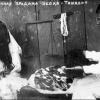 1920 Уличная торговля шелком в Ташкенте
