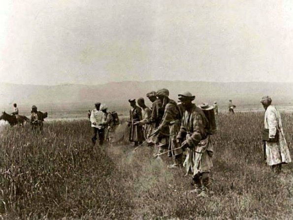 1920 Dekhane