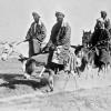 1924 Ташкент Верхом на Ослах и Лошади