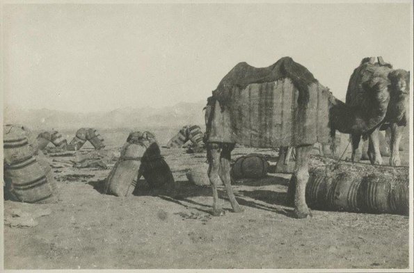 1924 Afghanistan Karavan in Bakvian Desert