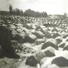 1925 Кладбище у ворот Мазарских (Мазари-Шариф) в Бухаре 1