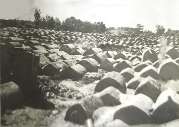 1925 Кладбище у ворот Мазарских (Мазари-Шариф) в Бухаре 1