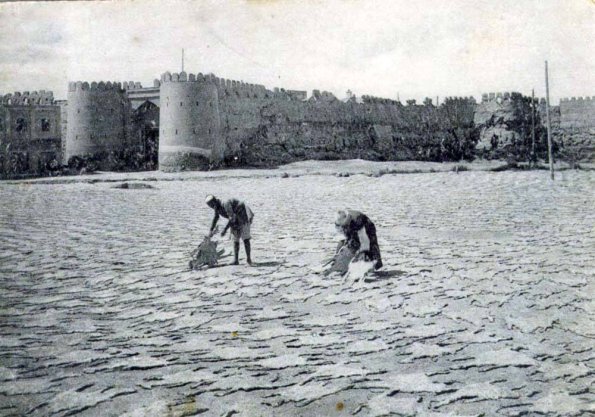 1925 Предпл Бухара Сушка Шкурок