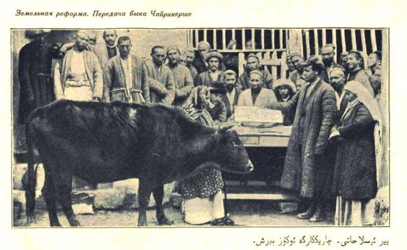 1925 Предпл Земельная Реформа Передача Быка Чайрикерше