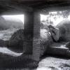 1930 Конканд Женщина на Кладбище Фото П Кильдюшева
