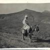 1930 Предпл Туркестан Женщина на Осле