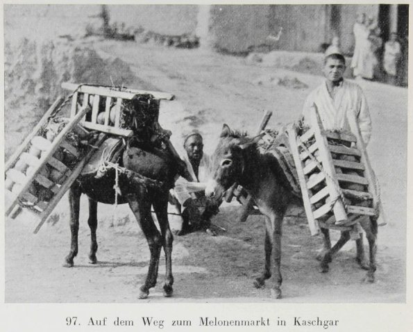 1930 Kashgar Melon Transportation