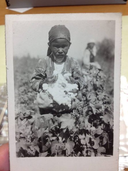 1932 Uzbek Girl in Cotton Field