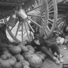 1935 Предпл Узбекистан Торговцы Дынями и Арбузами