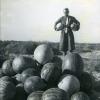 1935 Предпл Ферганская Долина Предпл Первый Урожай Арбузов