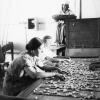 1935 Ташкент Шелговодство