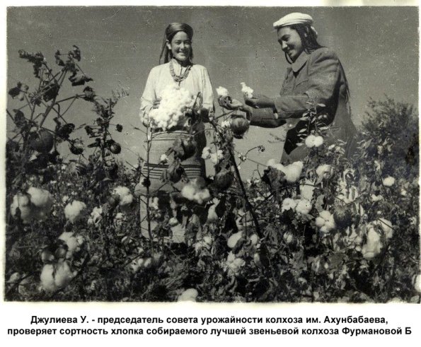 1943 Джулиева У. - председатель совета урожайности колхоза им. Ахунбабаева