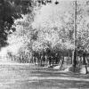 1951 Душанбе Улица Красных Партизан