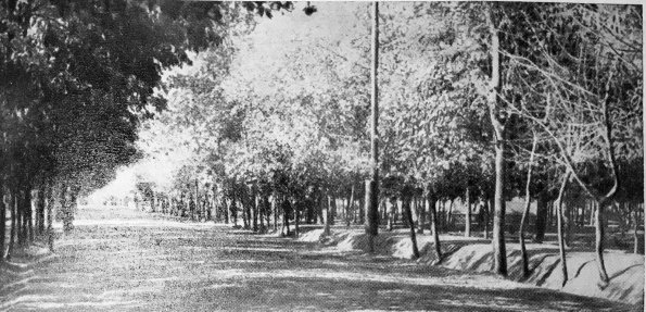 1951 Душанбе Улица Красных Партизан
