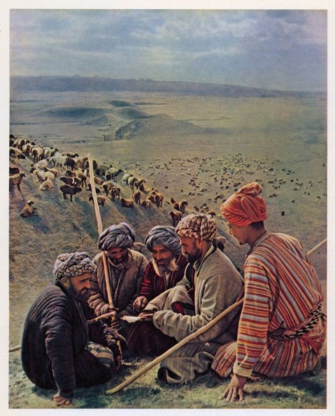 1954 Колхоз Галаба Сариасийского Района Сурхандарьинской Области Чопаны