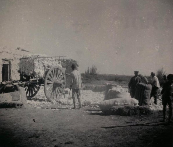 1955 Мургаб 6