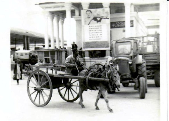1955