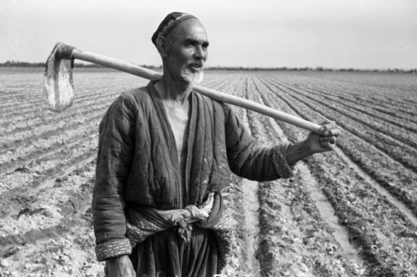 1957 Ташкентская Область Колхоз им Кирова Чиназского Района Дайханин