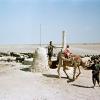1958 Колодец в Бухарской Области 1 Фото С Фридлянда