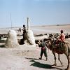 1958 Колодец в Бухарской Области 2 Фото С Фридлянда
