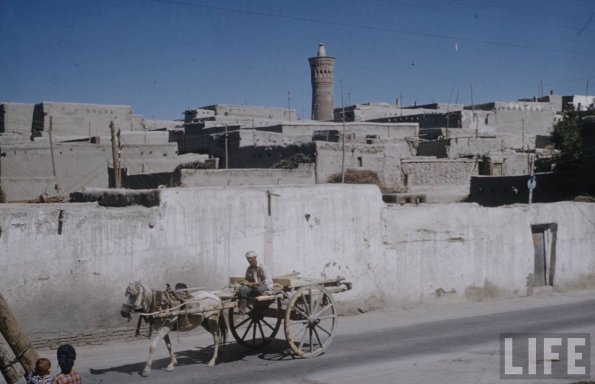 1958 Средняя Азия Фото из Путешествия Говарда Сочурека 13