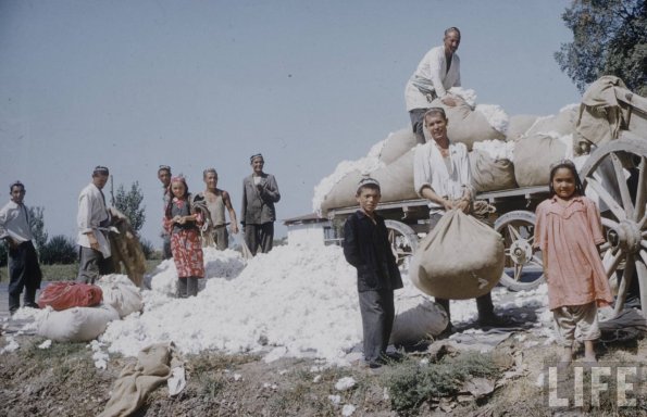 1958 Средняя Азия Фото из Путешествия Говарда Сочурека 15