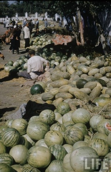 1958 Средняя Азия Фото из Путешествия Говарда Сочурека 34