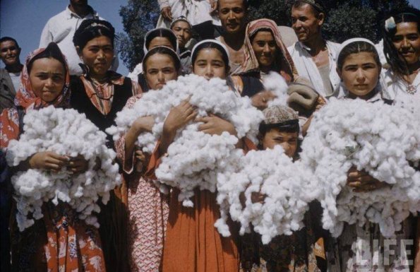 1958 Хлопкоробы Узбекистана на Фото Журнала Лайф