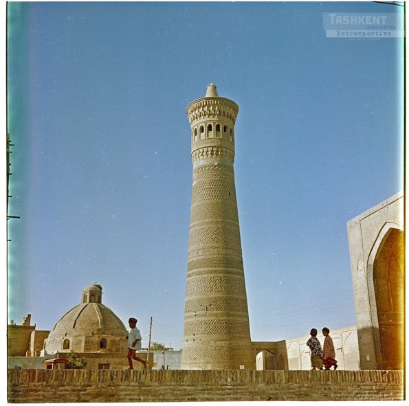 1959 Бухара Золотая