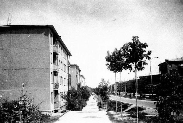 1965 Дома №62, №64 и т.д. на 2-м квартале вдоль Волгоградской улицы в 1965 году.