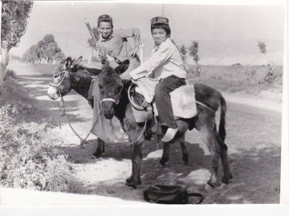 1965 Узбекистан Школьники на Ослах