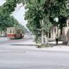 1965 Tashkent 11