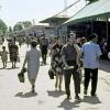 1965 Tashkent 9