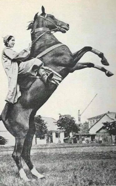 1965 Turkmen Horsewoman