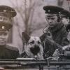 1968 Zastava Vanovskaya - NachZastavy V Makshakov, driver Anatoliy Nischenko 1968
