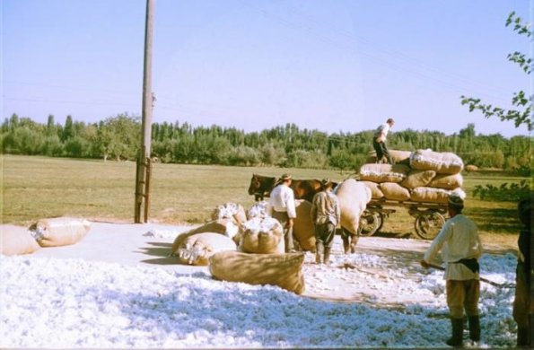1970 Pagtakorlar