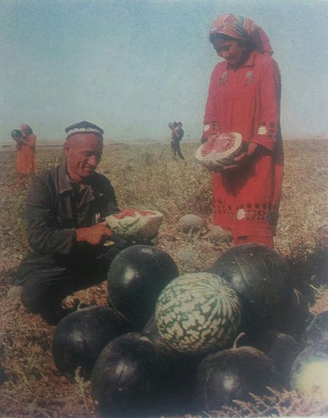 1975 Узбекистан Сбор Арбузов