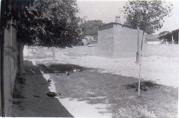 1975 Tashkent (2)