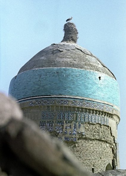 1976 Бухара Аист на Гумбезе