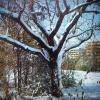 1977 Tashkent Winter Morning