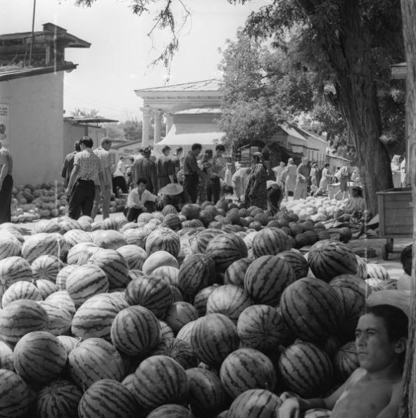 1979 Самарканд Арбызный Развал в Старой Части Города
