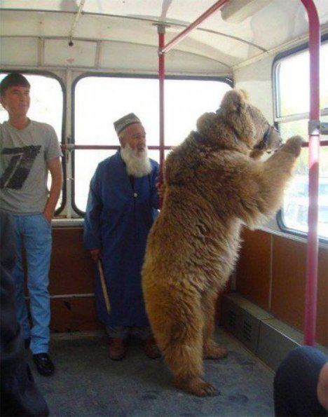 1980 Tashkent Old man and Bear 3