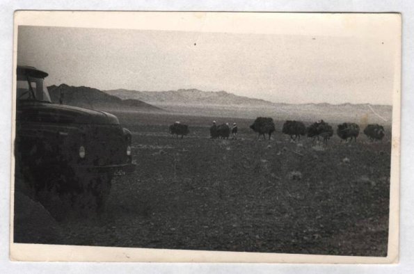 1981 Afghanistan Karavan