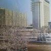 1981 Tashkent