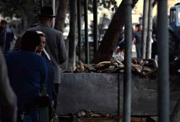 1984 Ташкент Рыбный Рынок