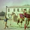 1985 Дети на Верблюде