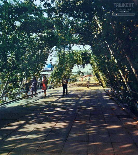 1985 Предпл Ташкент в Парке